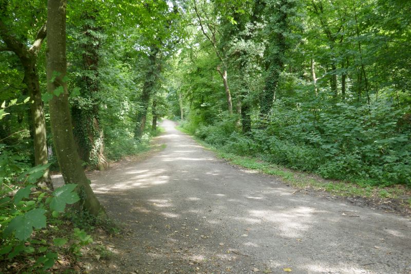 Kurzwanderung mit Einkehr im September 2026