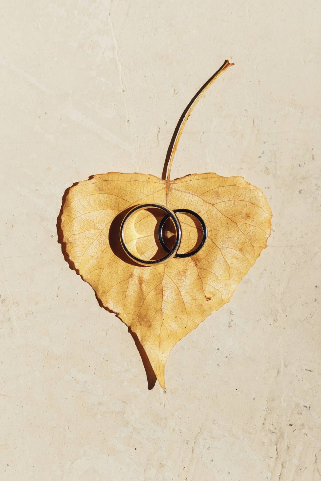 goldene-hochzeitsringe-liegen-auf-den-gefallenen-blattern-scaled.jpg