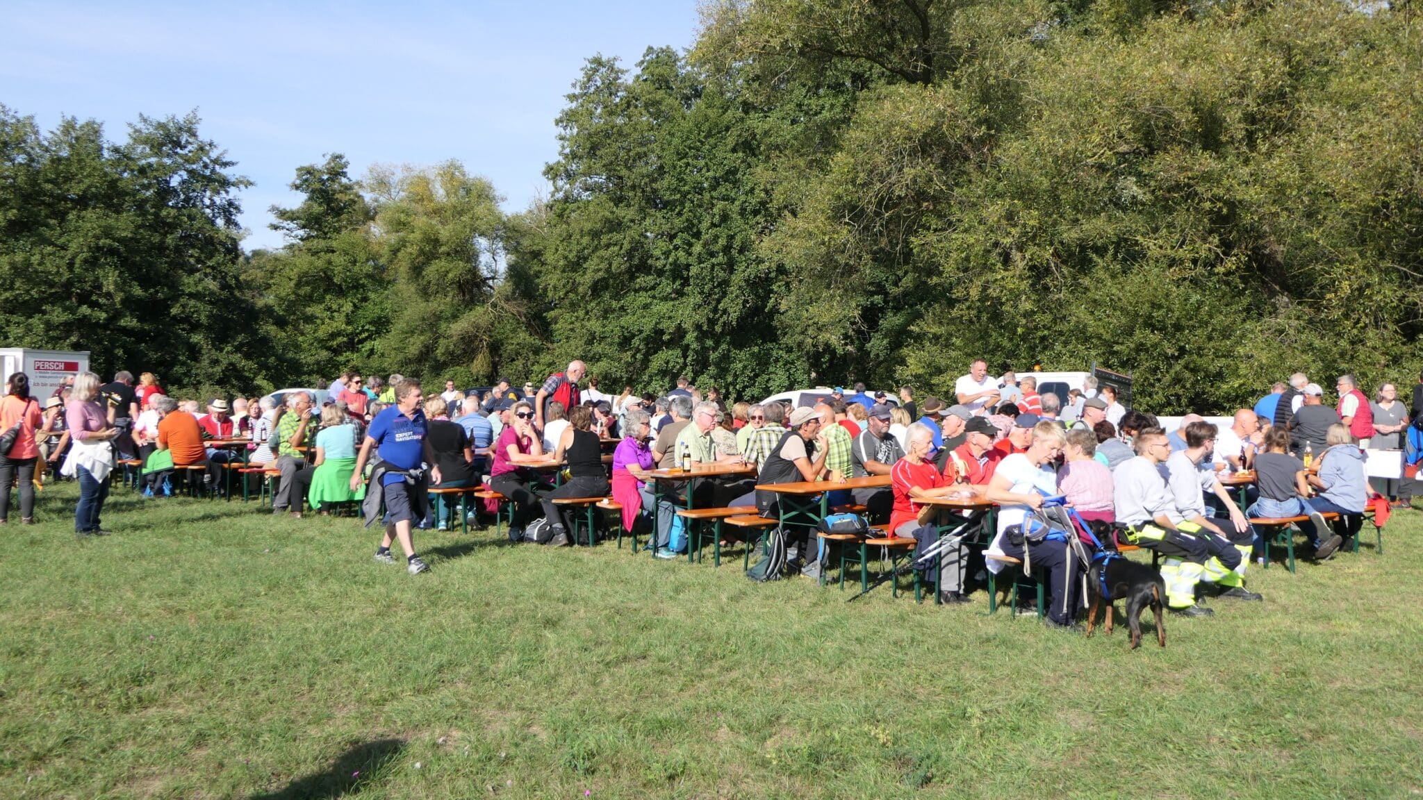 Herbstwand_3-scaled.jpg