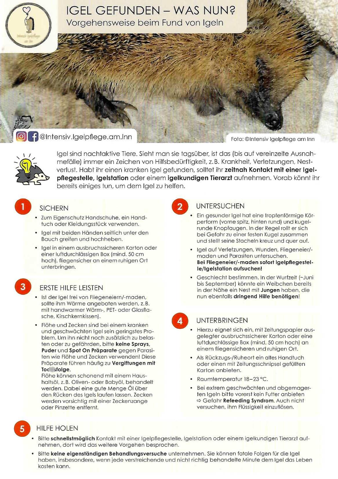 Flyer IIaI.jpg