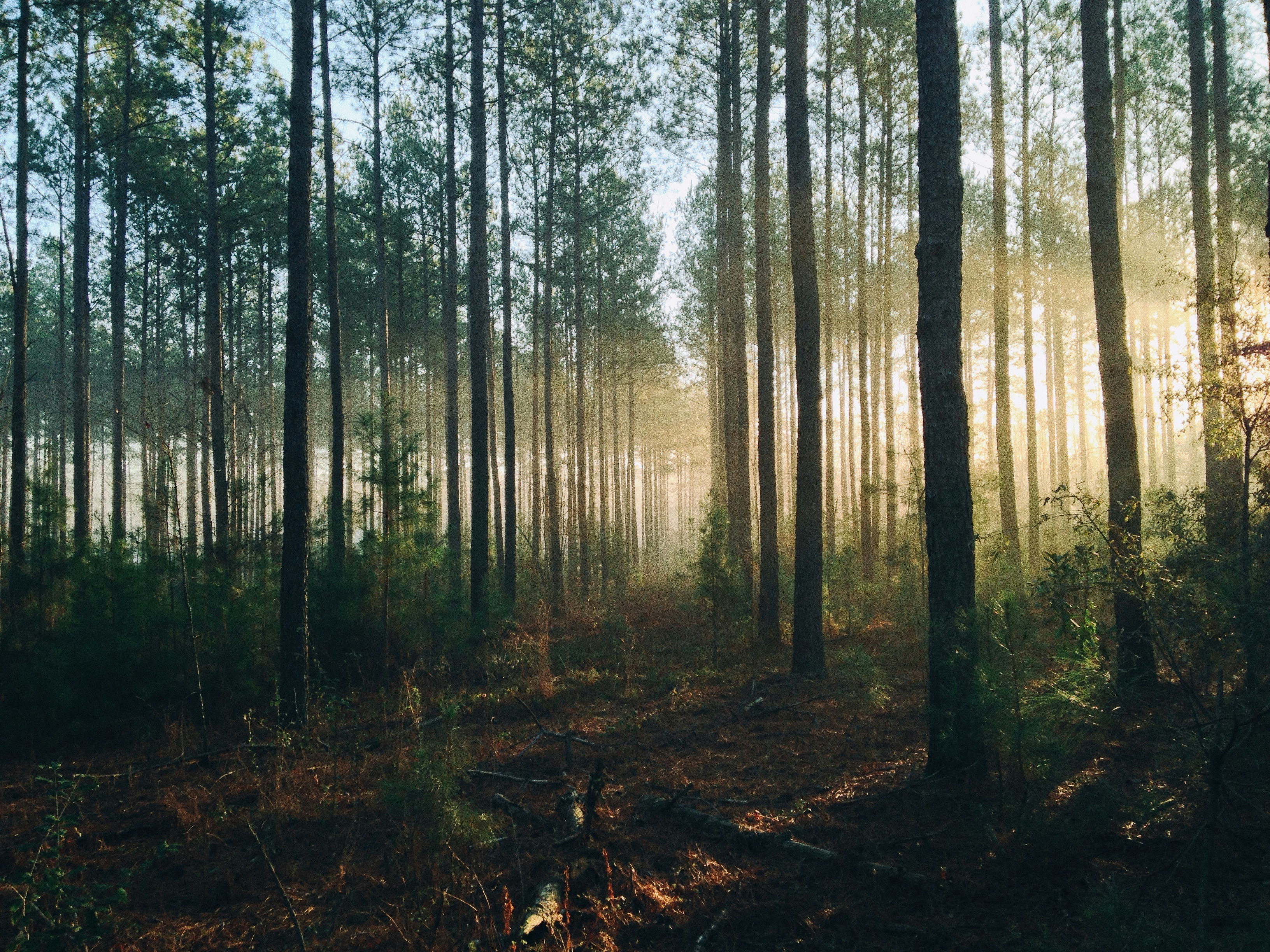 Abenteuer Natur