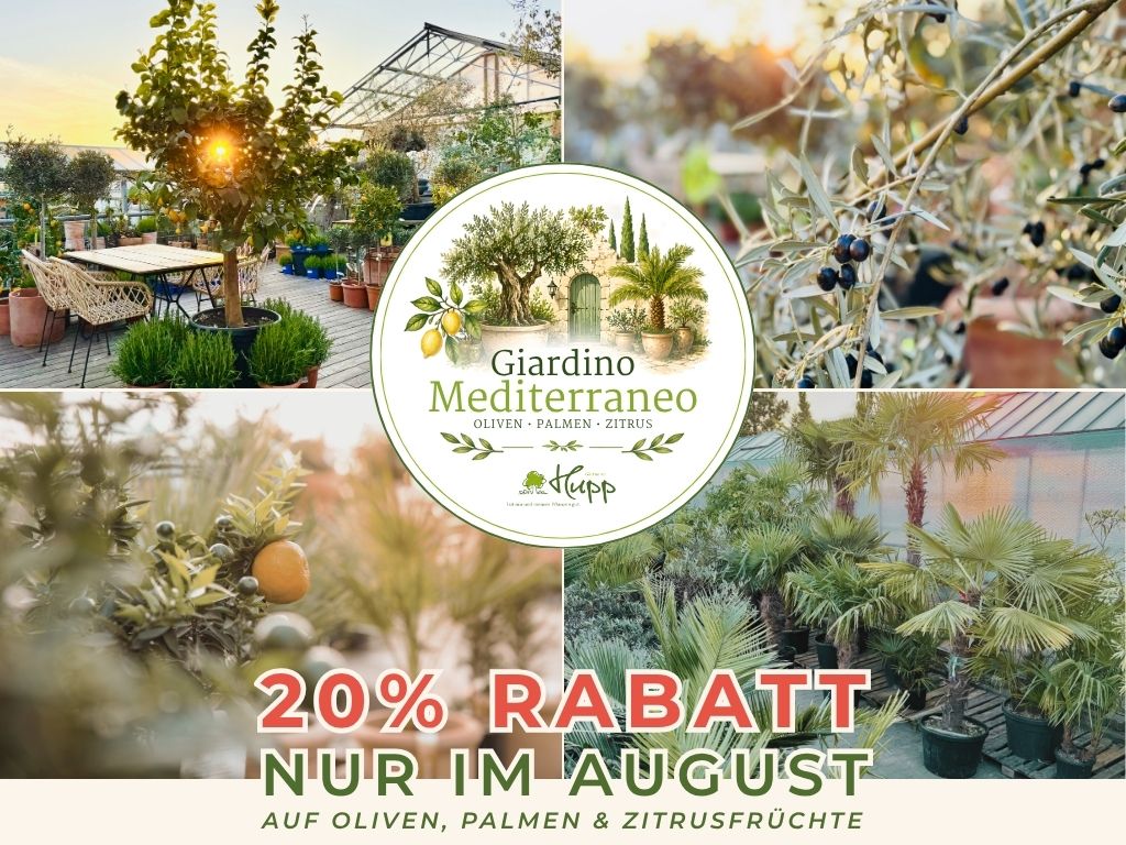 giardino.jpg