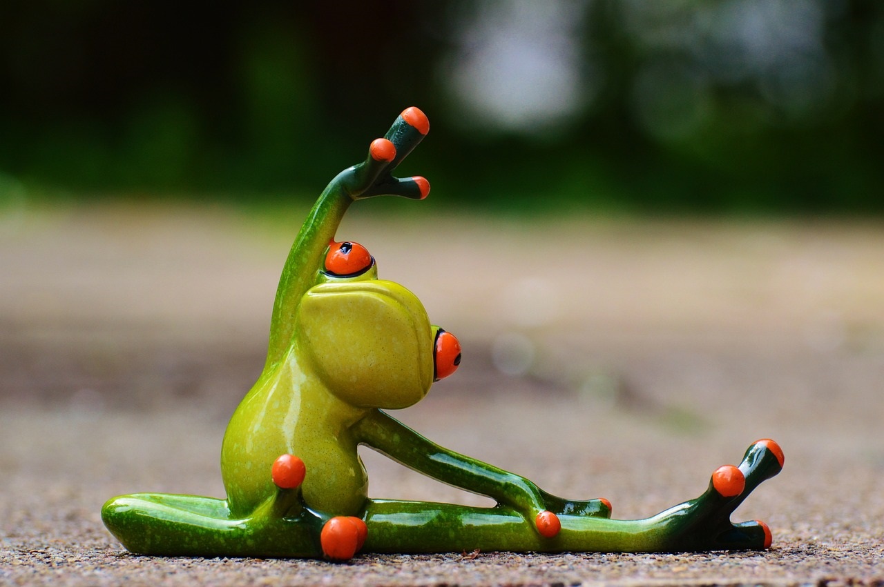 Sport-Frosch.jpg