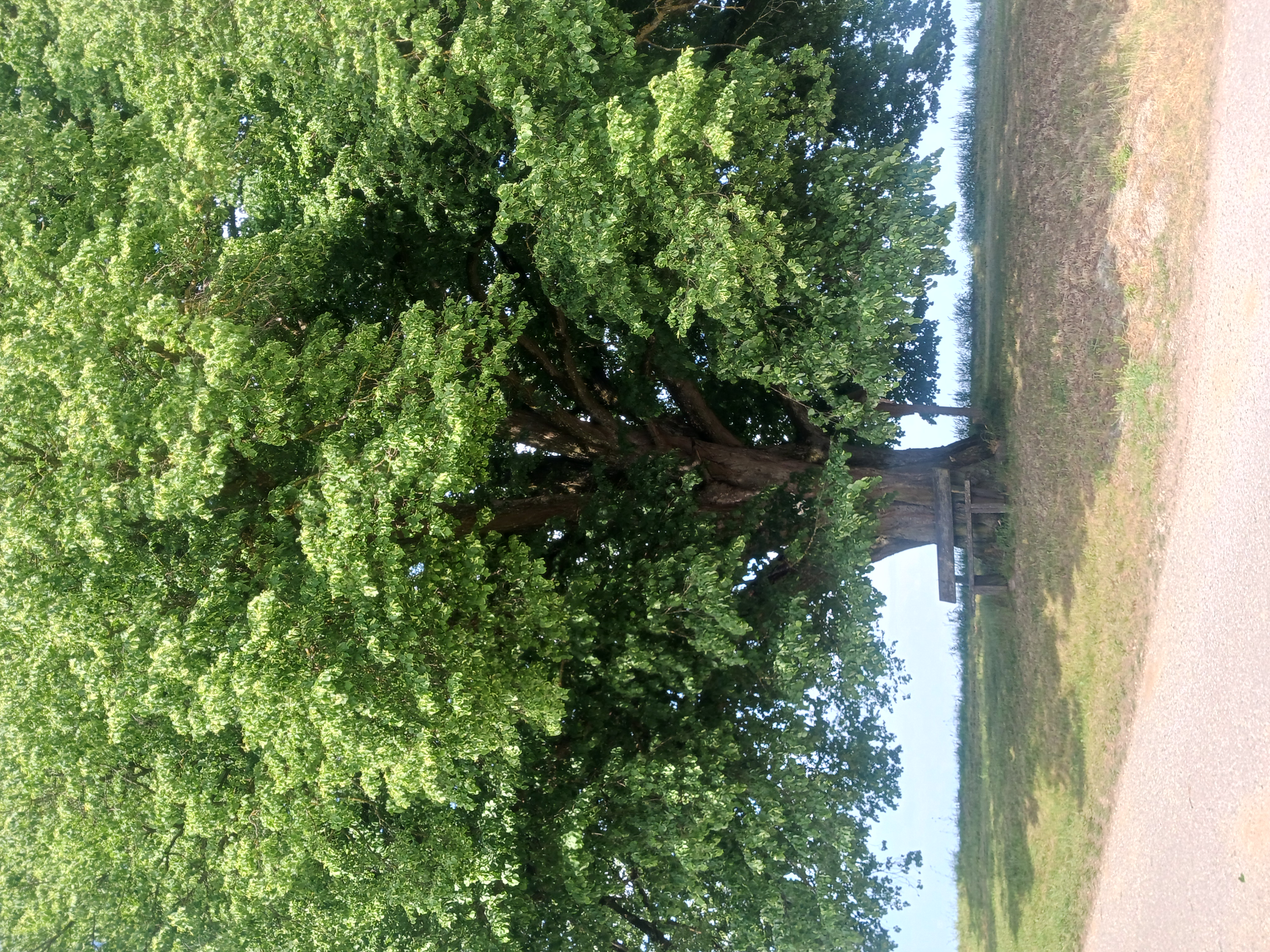 20260524_161039.jpg