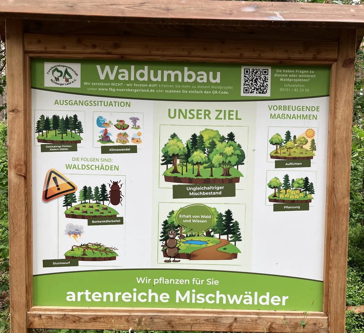 11625-waldarbeiten-im-rahmen-der-nachhaltigen-waldbewirtschaftung-an-der-kreisstrae-zwischen-neunkirchen-und-speikern-thumbnail-c7235680.jpg