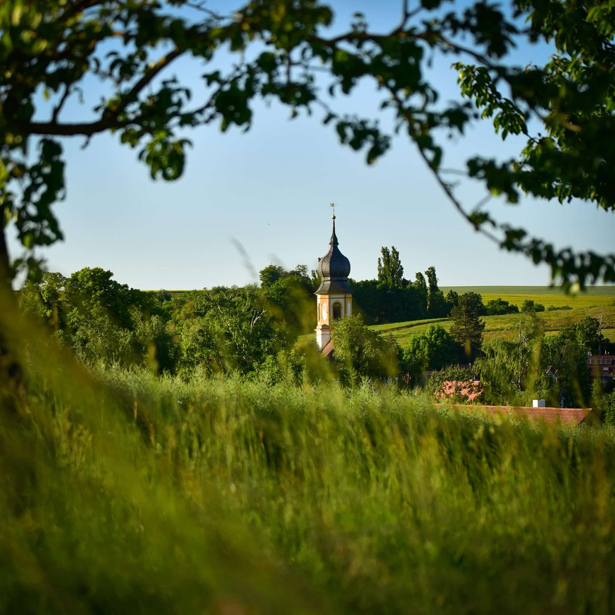 Tobias-Reissmann-Schernau-1-scaled.jpg