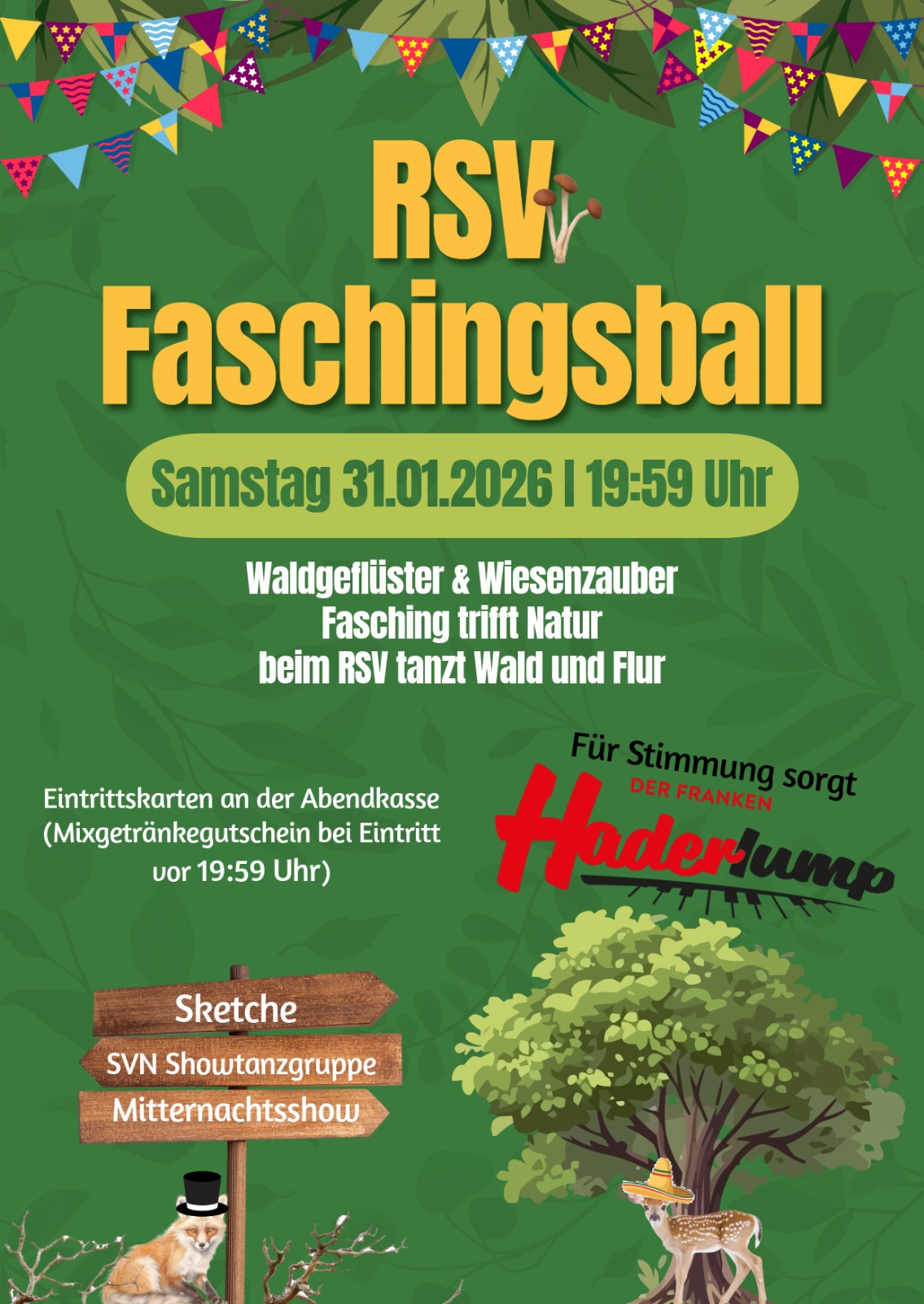 Faschingsball in Unterschleichach - 31.01.2026