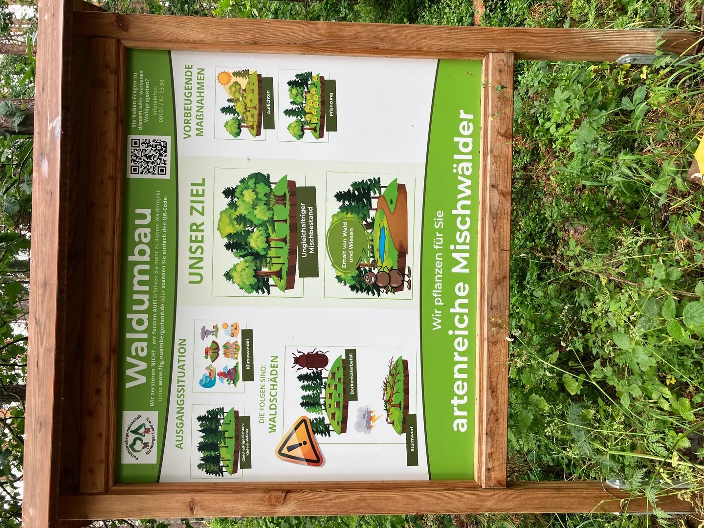 waldarbeiten-im-rahmen-der-nachhaltigen-waldbewirtschaftung-an-der-kreisstrae-zwischen-neunkirchen-und-speikern-thumbnail-8b4ff9ce.jpg