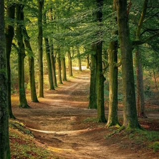 Spaziergang für Trauernde