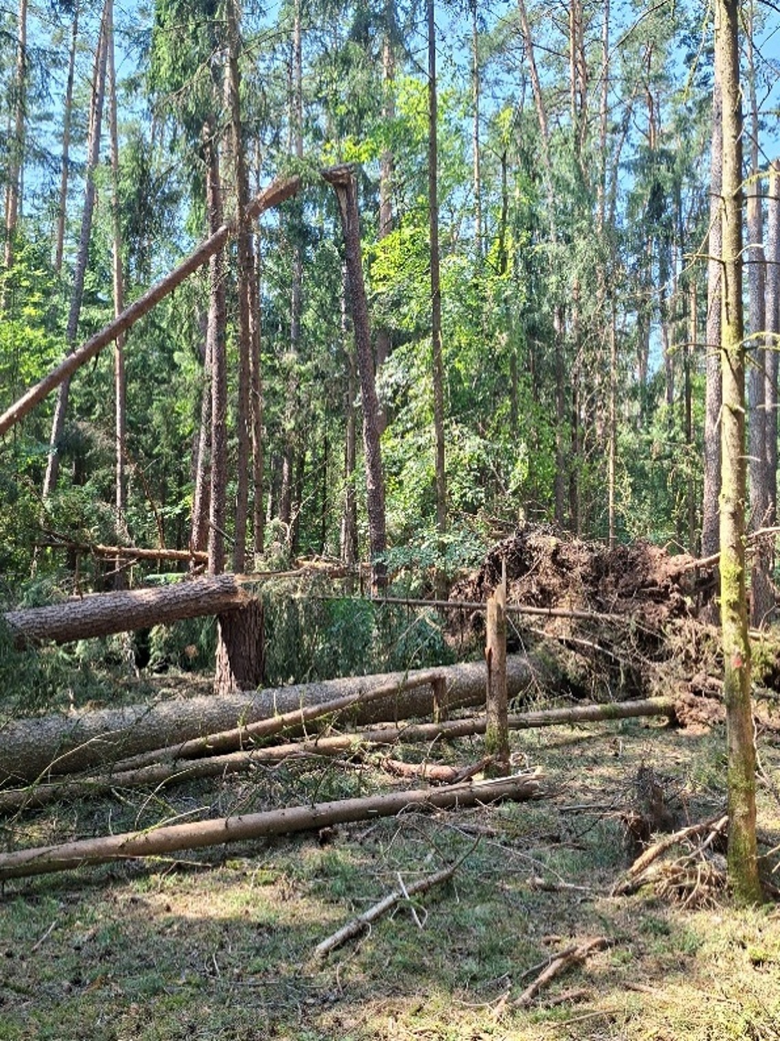Bild2.jpg