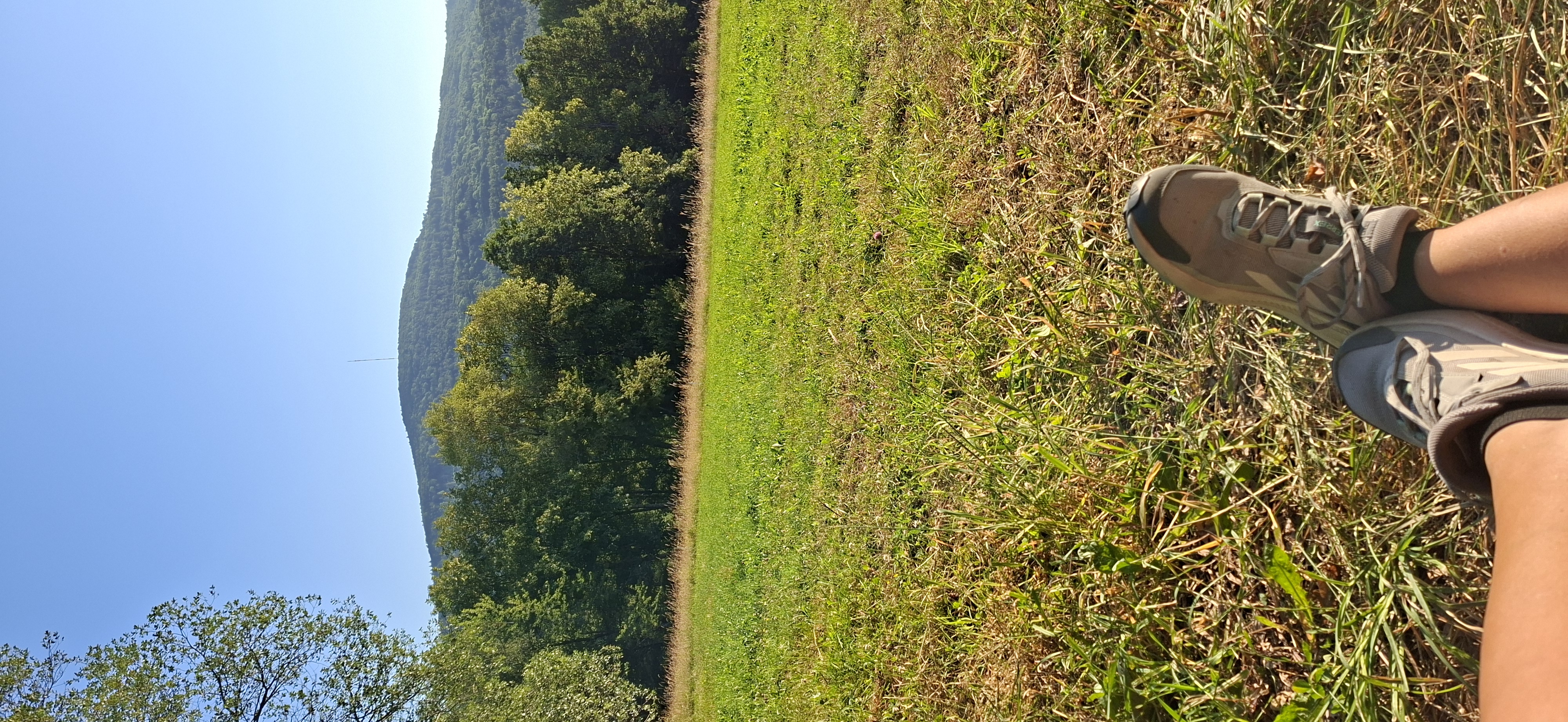 20260711_065747.jpg