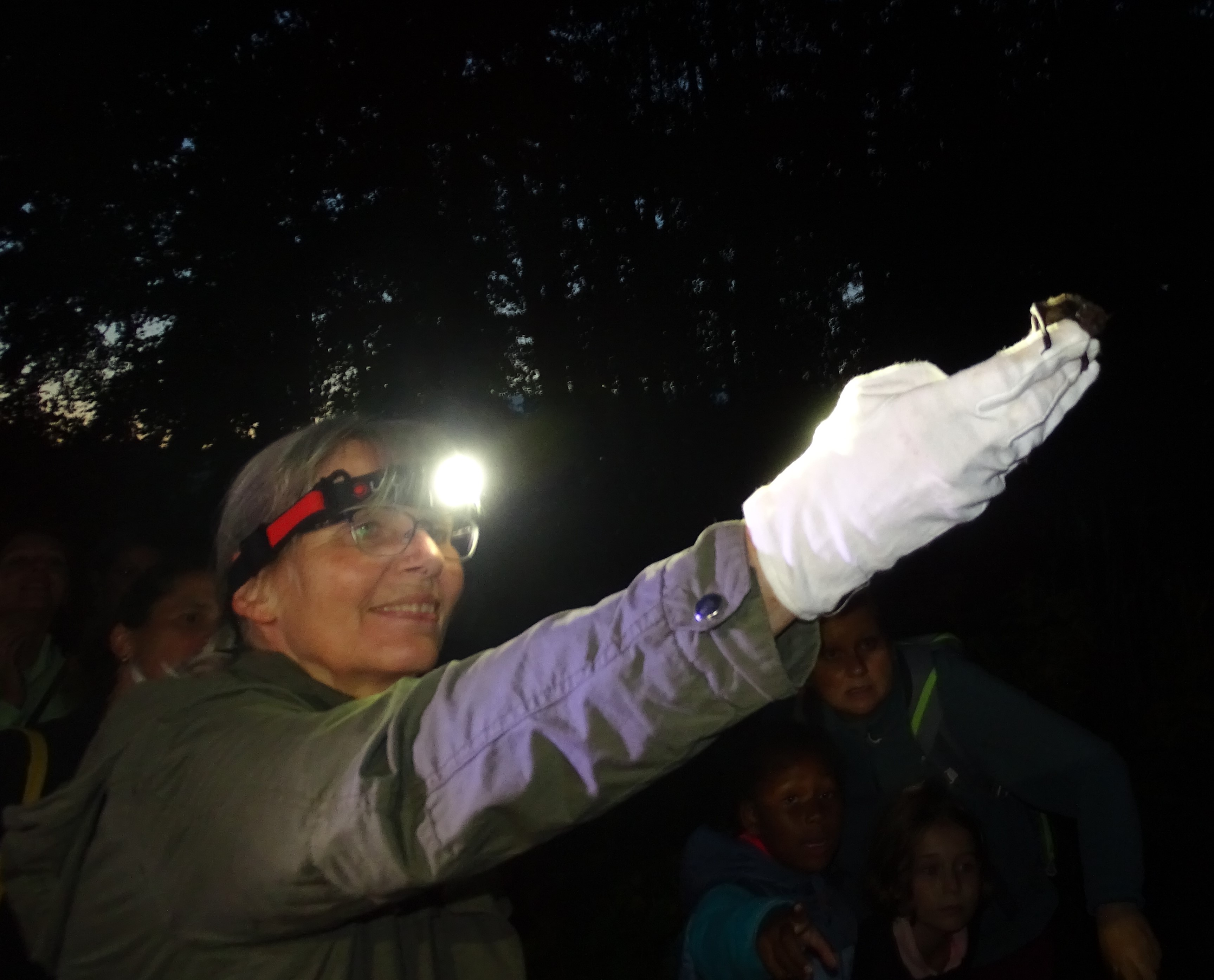 2021-09-11_BN Fledermausnacht 2_weber.jpg