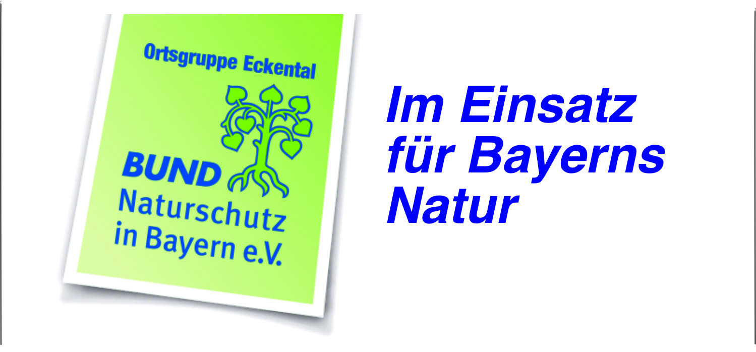 BN-Logo-Wochenklick.jpeg