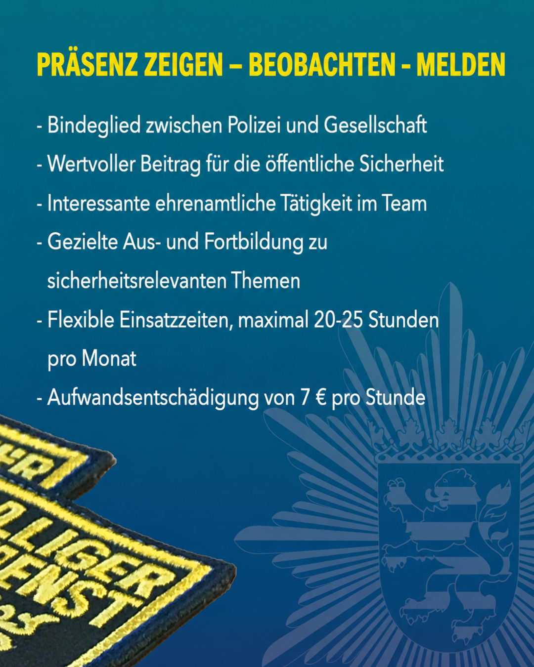 Polizeidienst Bild 2.png