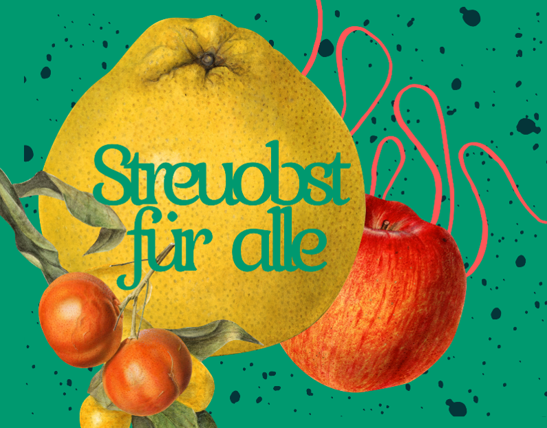 Bild1.png