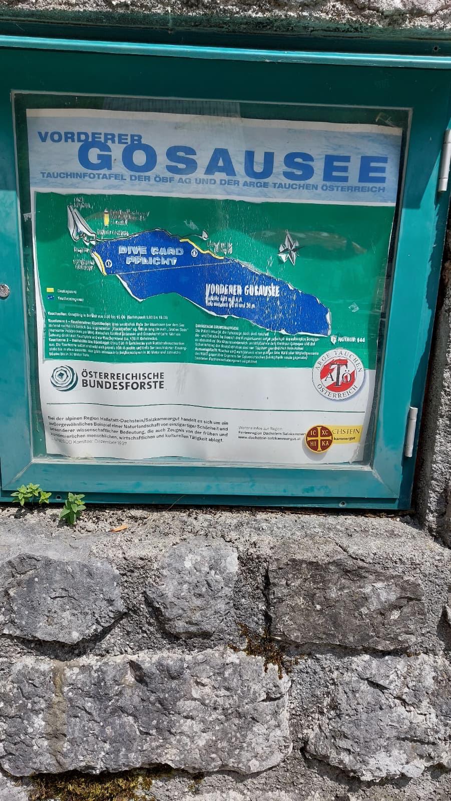 bildgosaujpeg.jpeg